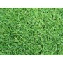 SEMI DI GRAMIGNONE PER PRATO CARPET GRASS KG. 10 