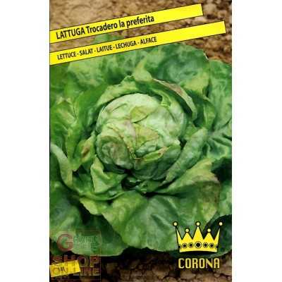 HOODED LETTUCE SEEDS I WILL FIND THE FAVORITE