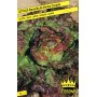 SEEDS OF MARAVIGLIA LETTUCE FROM VERANO CANASTA