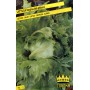 SEEDS OF ICE QUEEN LETTUCE