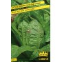 SEEDS OF GREEN ROMAN LETTUCE FROM THE ORTOLANI