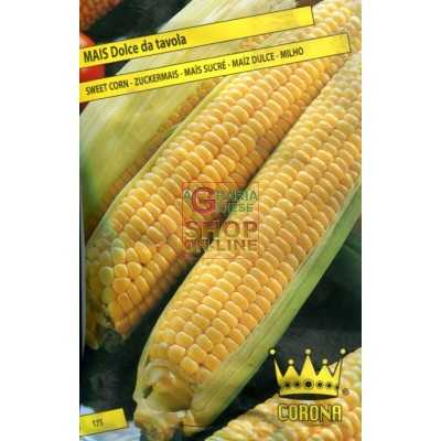 TABLE SWEET CORN SEEDS