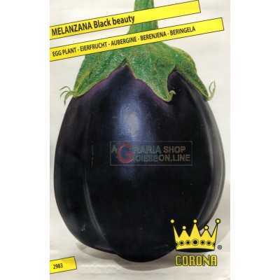 BLACK BEAUTY EGGPLANT SEEDS