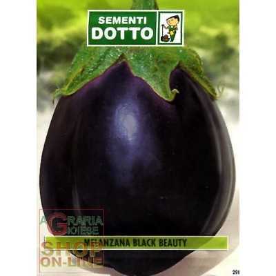 BLACK BEAUTY OVAL MELENZANA SEEDS
