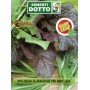 SEMI DI MUSCUGLIO BRASSICHE PER BABY LEAF 