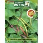 SEMI DI MUSCUGLIO DI BIETE PER BABY LEAF 