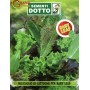 SEMI DI MUSCUGLIO LATTUGHE PER BABY LEAF 