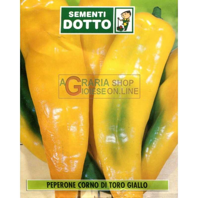 SEEDS OF YELLOW BULL HORN PEPPER