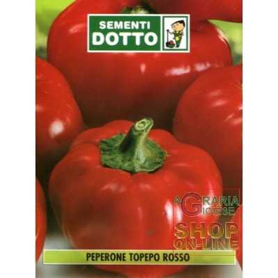 RED TOPEPO PEPPER SEEDS RIGGITANO