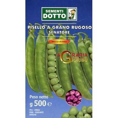 SEEDS OF PEA HALF RAMA SENATOR GR. 500