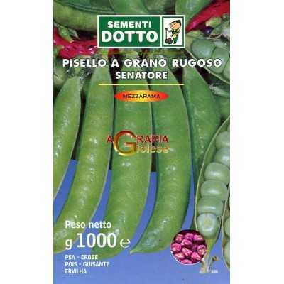 SEEDS OF PEA HALF RAMA SENATOR KG. 1