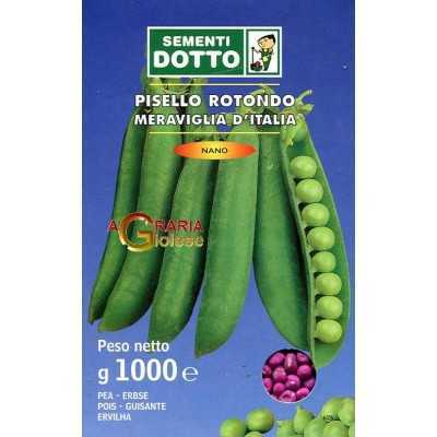 SEMI DI PISELLO NANO MERAVIGLIA DI ITALIA KG. 1 