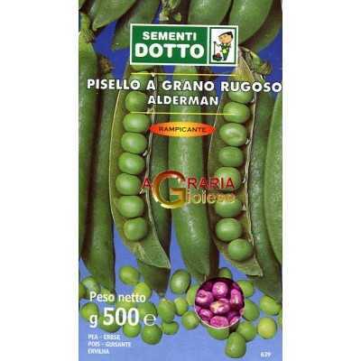 SEMI DI PISELLO RAMPICANTE ALDERMAN GR. 500 