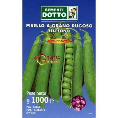 SEEDS OF PEA CLIMBING TELEPHONE KG. 1