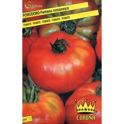 PANTANO ROMANESCO TOMATO SEEDS