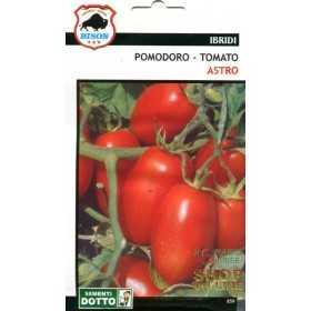 ASTRO HYBRID F1 SPECIALITY BISON TOMATO SEEDS