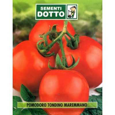 SEMI DI POMODORO MAREMMANO ACCIAIOSO PER CONSERVE 