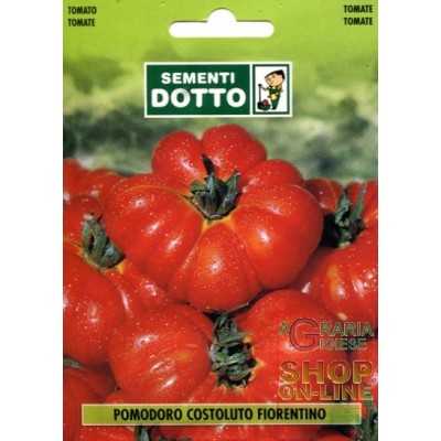 TOMATO SEEDS FOR COSTOLUTO FIORENTINO SALAD