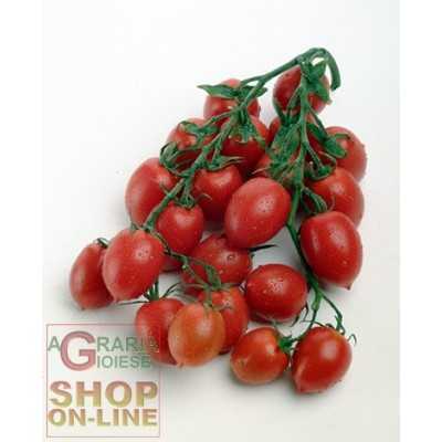 PRINCIPE BORGHESE TOMATO SEEDS TO HANG