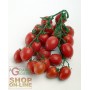 PRINCIPE BORGHESE TOMATO SEEDS TO HANG