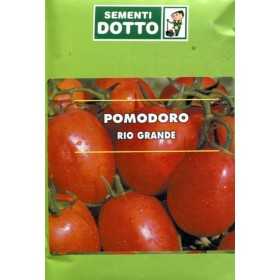 RIO GRANDE STEEL TOMATO SEEDS FOR PRESERVES GR. 50