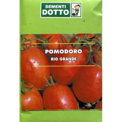RIO GRANDE STEEL TOMATO SEEDS FOR PRESERVES GR. 50