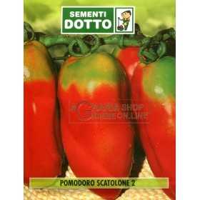 CANNED TOMATO SEEDS 2