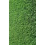 GRAMIGNA MEADOW SEEDS KG. 1 CYNODON DACTYLON