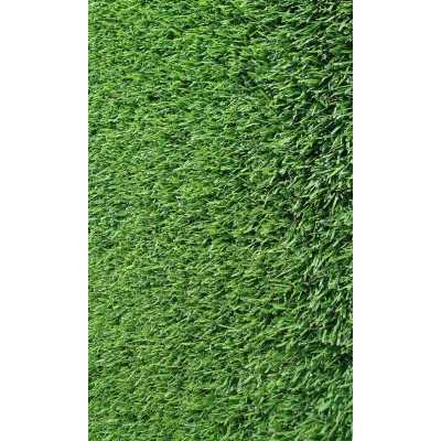 GRAMIGNA MEADOW SEEDS KG. 1 CYNODON DACTYLON