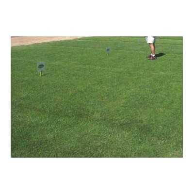 GRAMIGNA MEADOW SEEDS KG. 5 CYNODON DACTYLON