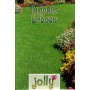 SEMI DI PRATO INGLESE PRATO JOLLY KG. 25 