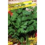 GIANT PARSLEY SEEDS OF ITALY