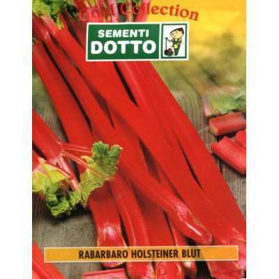 HOLSTEINER RHUBARB SEEDS