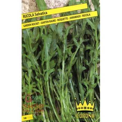 SEEDS OF WILD ROCKET