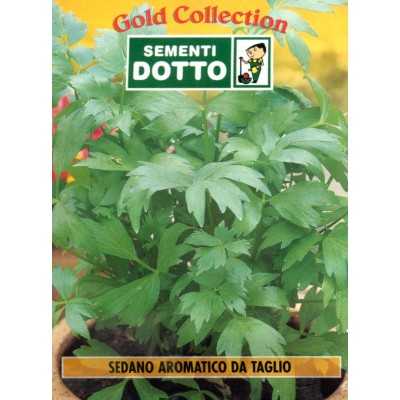 AROMATIC CELERY SEEDS FOR CUTTING