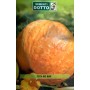 PUMPKIN SEEDS BIG MAX QUINTAL BAGS