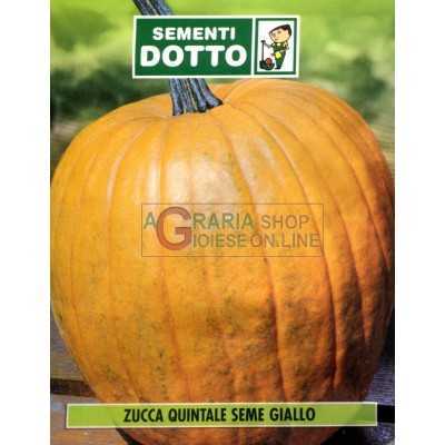 SEEDS OF PUMPKIN QUINTAL YELLOW SEED