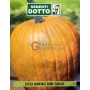 SEEDS OF PUMPKIN QUINTAL YELLOW SEED
