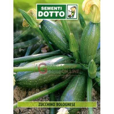 BOLOGNESE ZUCCHINO SEEDS