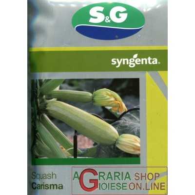 SEMI DI ZUCCHINO HF1 CARISMA DA 20 SEMI 