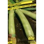 LONG WHITE ZUCCHINO SEEDS