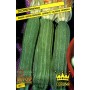 SEEDS OF ROMANESQUE ZUCCHINO