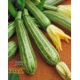STRIPED ZUCCHINO SEEDS OF ITALY