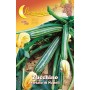 SEMI DI ZUCCHINO STRIATO DI NAPOLI 