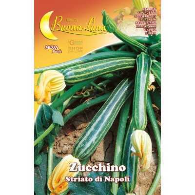 NAPLES STRIPED ZUCCHINO SEEDS