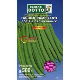SEMI FAGIOLO RAMPICANTE BOBIS SEME BIANCO GR. 500 