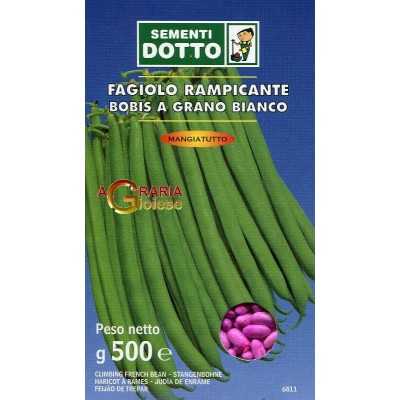 SEMI FAGIOLO RAMPICANTE BOBIS SEME BIANCO GR. 500 