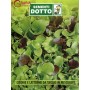 SEEDS MIX OF CHICORY AND CUTTING LETTUCE