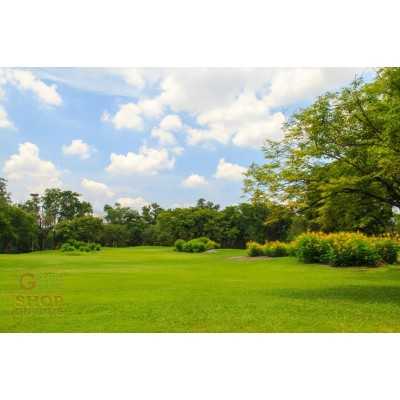 SEEDS FOR LAWN SUN SHIN CARPET MIX FOR HOT ENVIRONMENTS KG. 10
