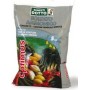 SOLFATO AMMONICO KG. 5 
